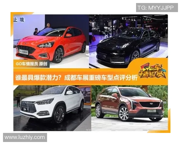 重庆排球队在世界杯预选赛中的速度表现分析与点评